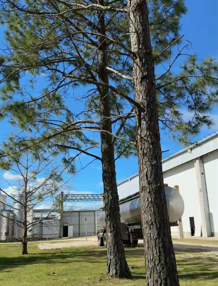 whatsapp video 2025 10 27 at 17.30.52